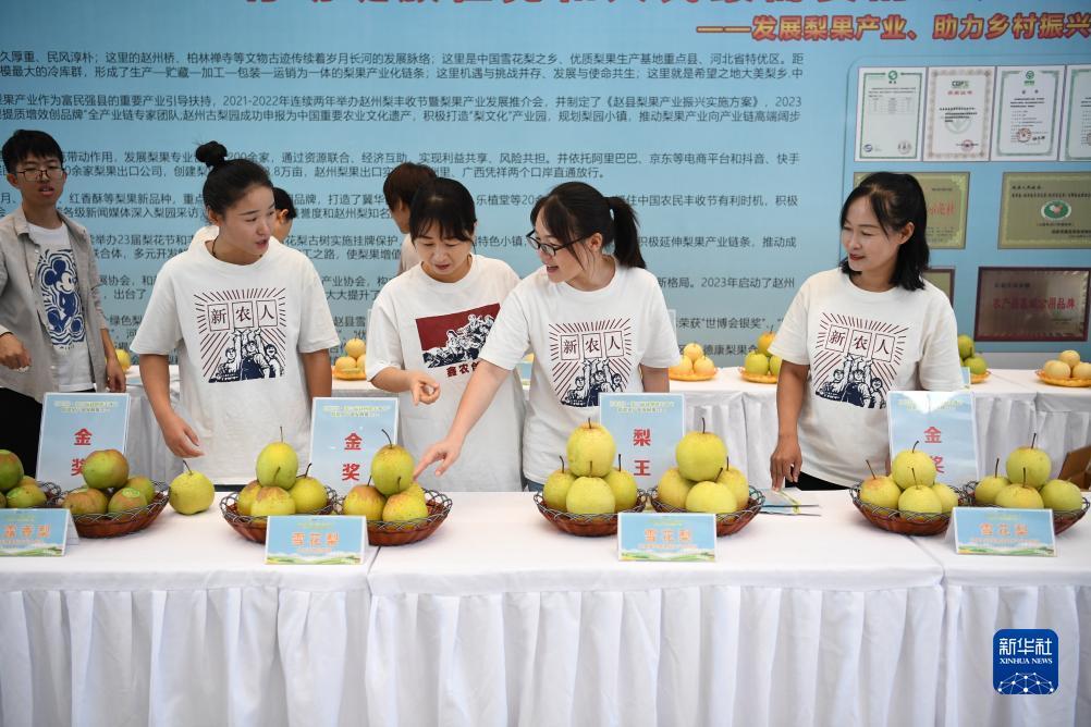 威尼斯wnsr